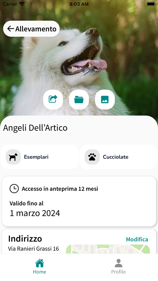 #2. PetDegree (iOS) 由: Mirko Di Lucia