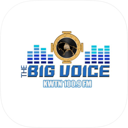 The Big Voice