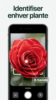 Planto: Planteidentifikator iphone bilder 1