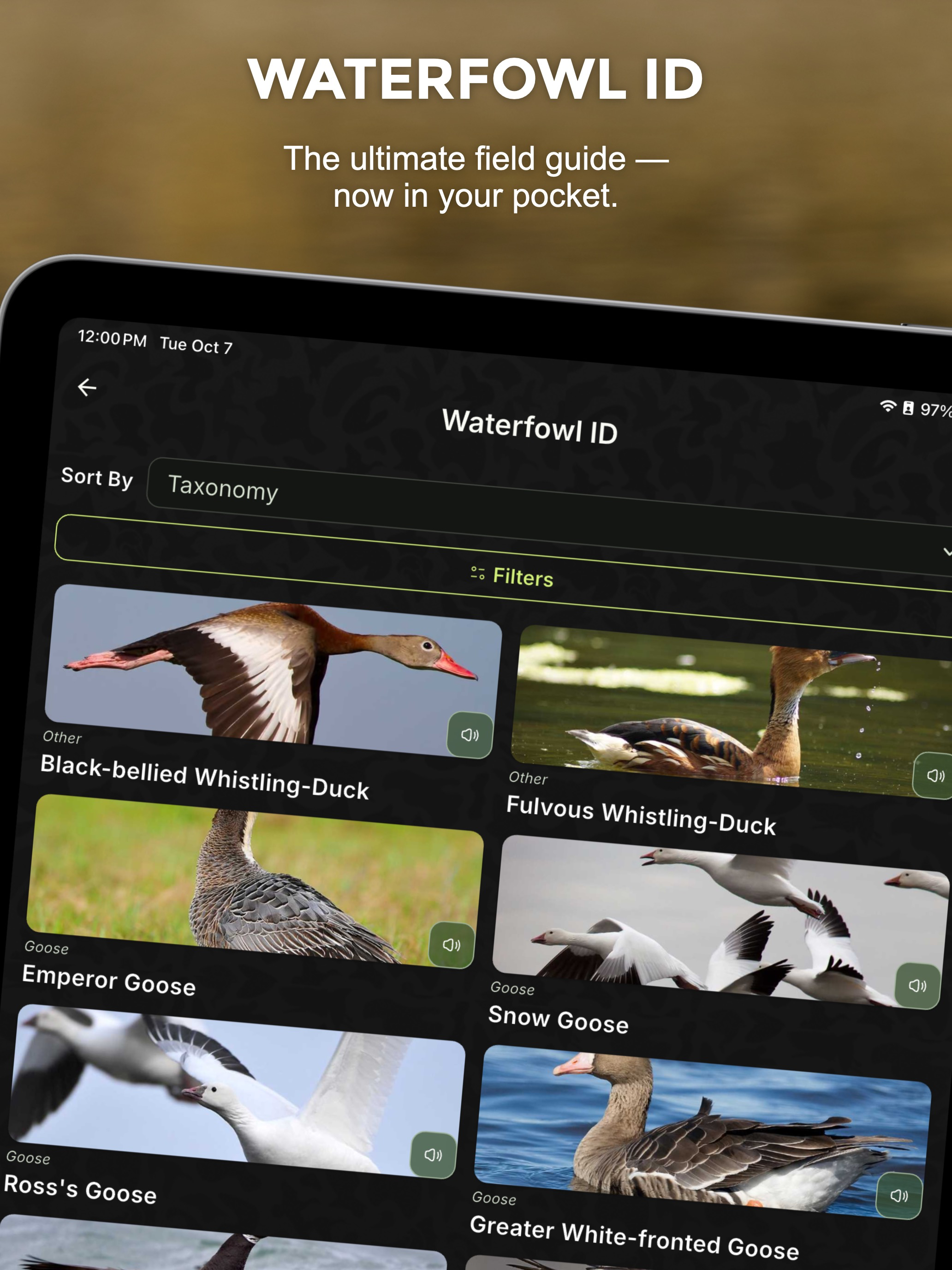 Ducks Unlimited