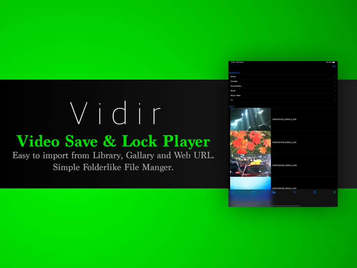 Video Saver  Locker Vidir