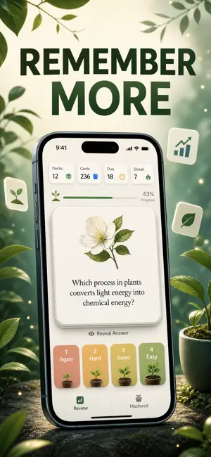 Flashcards: Study Cards screenshot 2