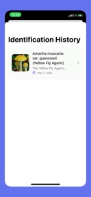 Picture Mushroom - Identifier screenshot