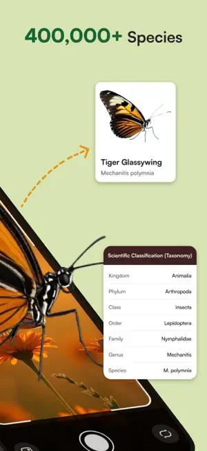 Insecto AI: Bug Identifier screenshot 2