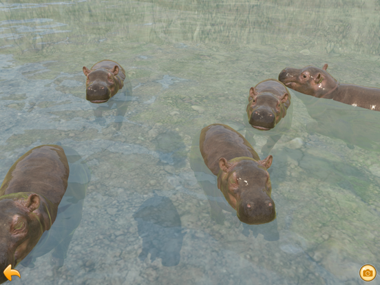 Hippo’s World: A Daily Tale iPad screenshot 5 - Games app