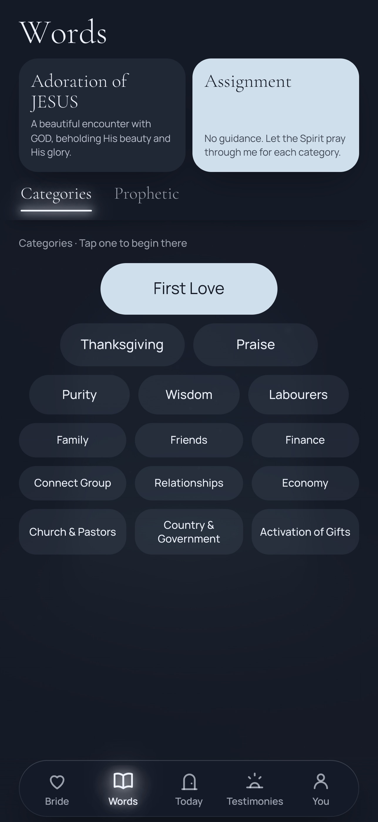 Screenshot 8 of Pray