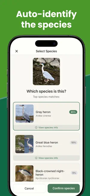 BirdDex: Identify & Collect screenshot 2