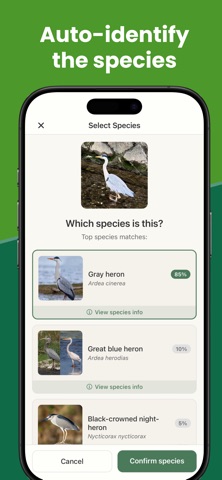 BirdDex: Identify & Collect screenshot