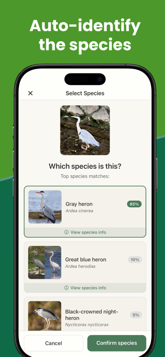 BirdDex: Identify & Collect Screenshot 2 of 10
