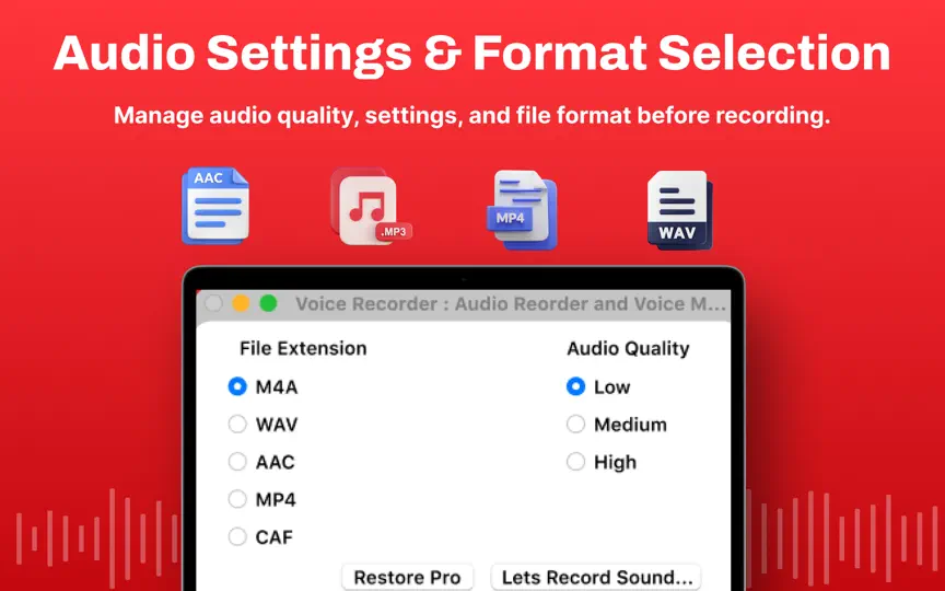 Скриншот диктофон・Voice Recorder на iPhone 4
