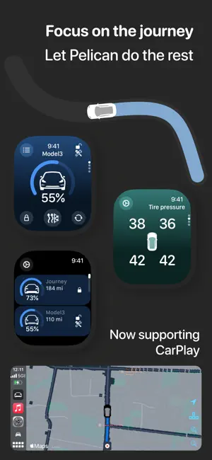 Pelican: Automotive assistant screenshot 4