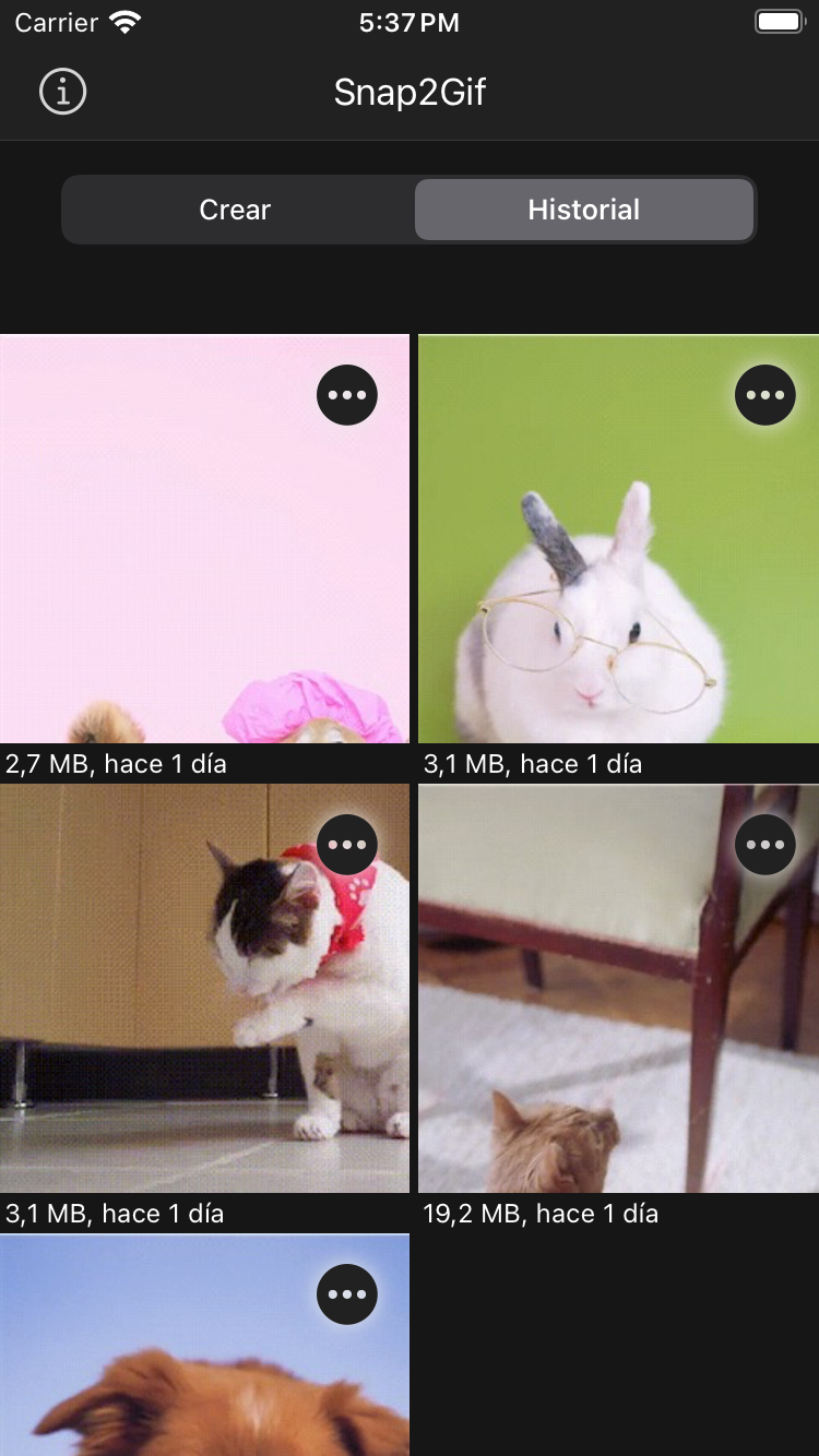 Snap2Gif