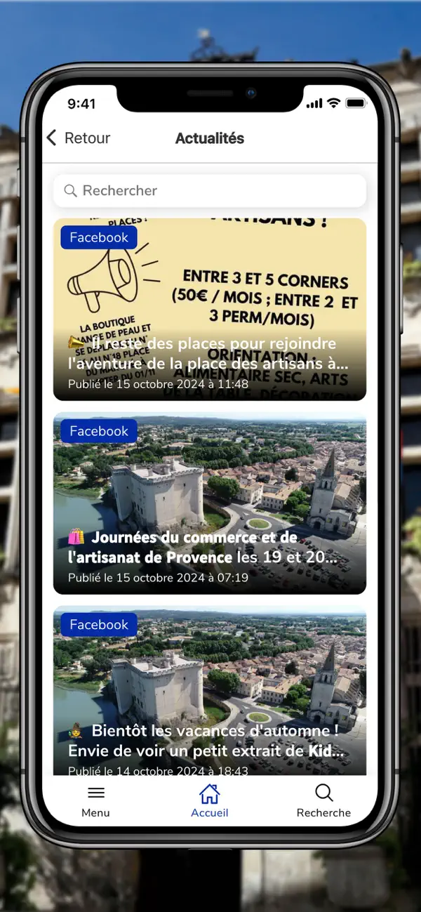 Screenshot #2 pour Tarascon mon application