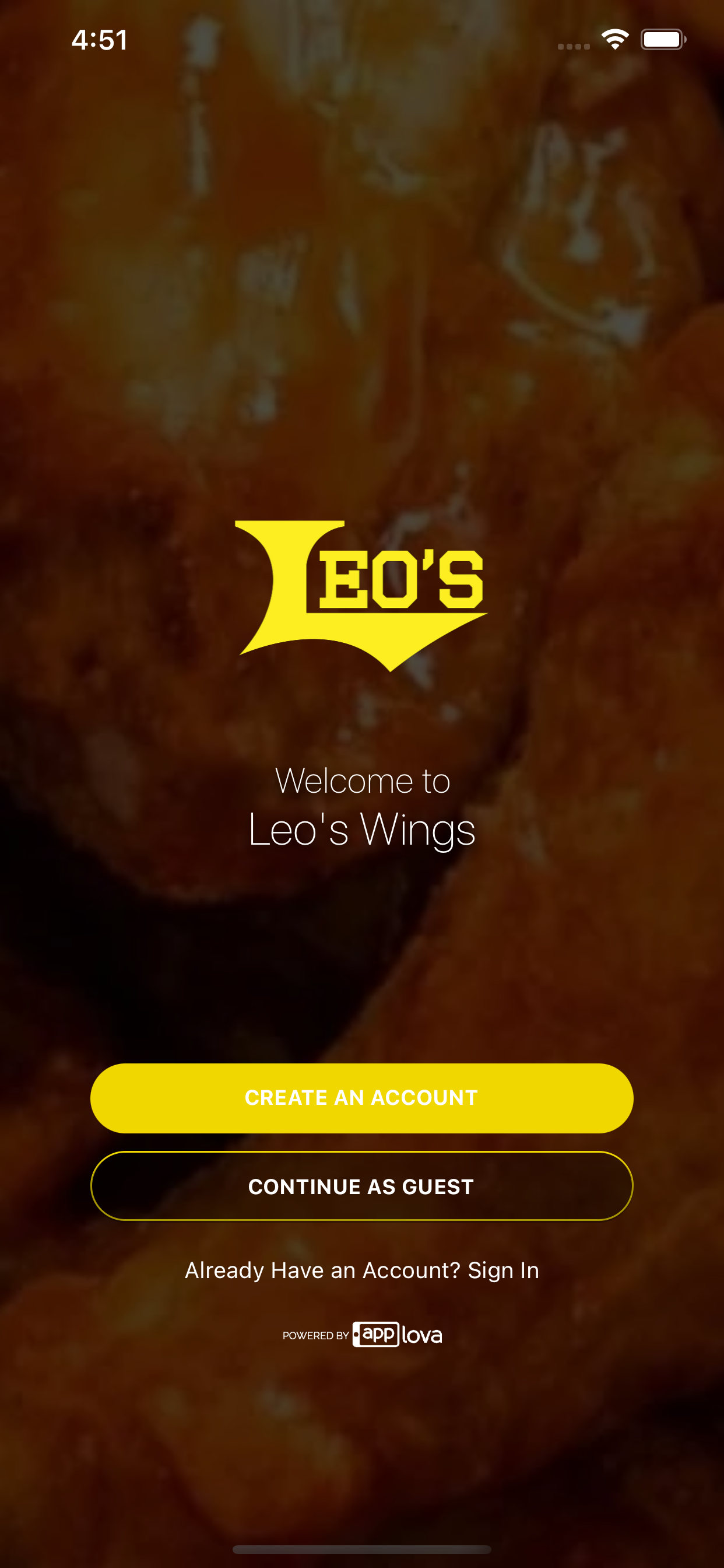 Leo's Wings