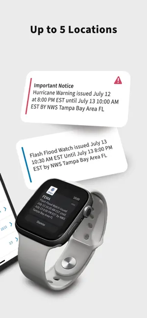 FEMA screenshot 3