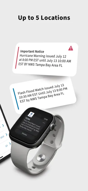 FEMA screenshot 3 of 8