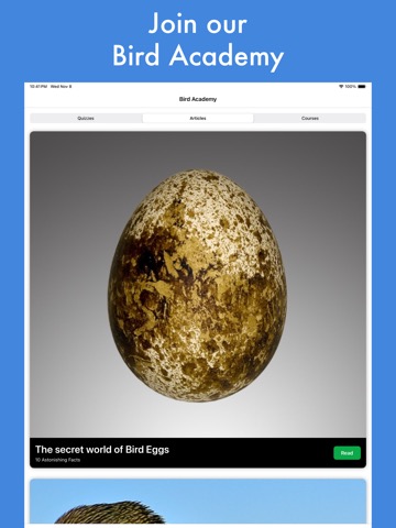 Smart Bird ID (Australia & NZ)のおすすめ画像9