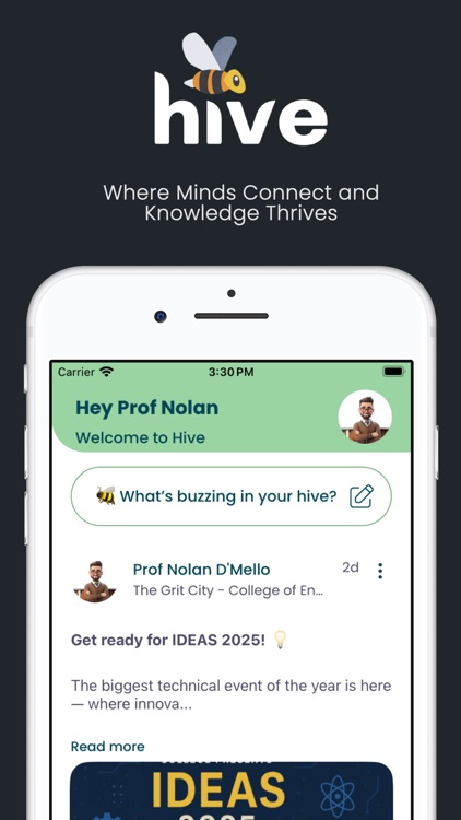 Hive by The Grit City