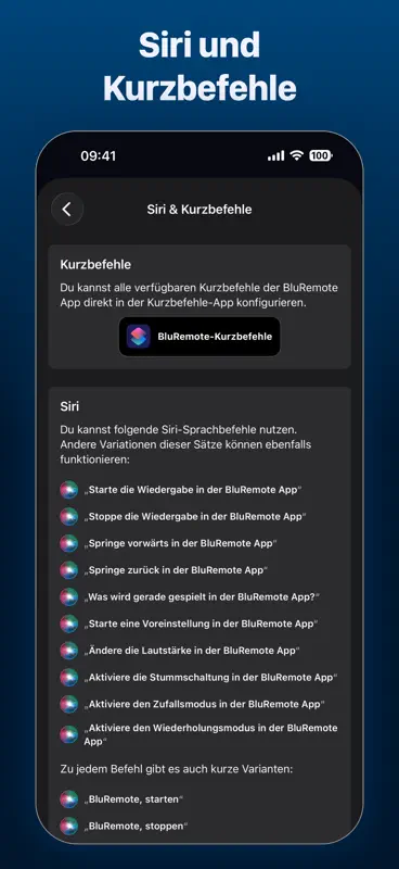 BluRemote - BluOS Controller screenshot 6 of 7