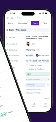 Project.co V3 screenshot