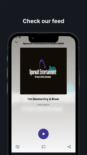 Npursuit Entertainment Radio screenshot 2