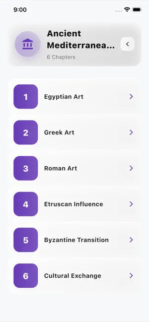 AP Art History Practice screenshot 4