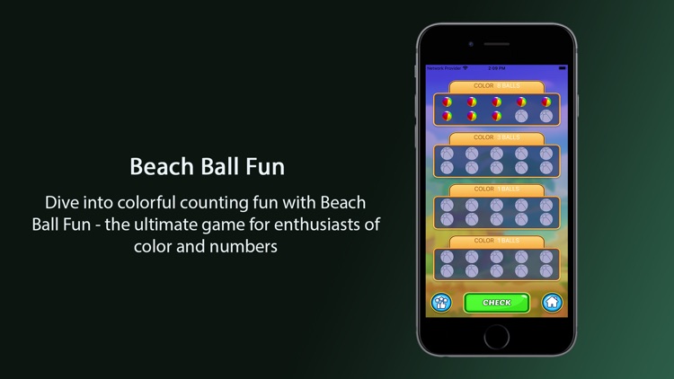 iBeach Ball Fun screenshot-5