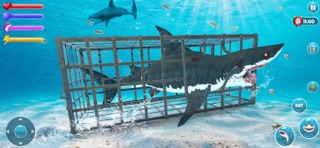 Megalodon Shark Fish Attack Screenshot 4 of 5