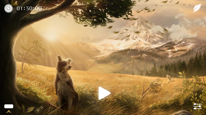 Windy Pro  Cozy White Noise