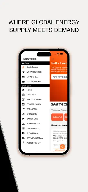 The Gastech Network screenshot 2