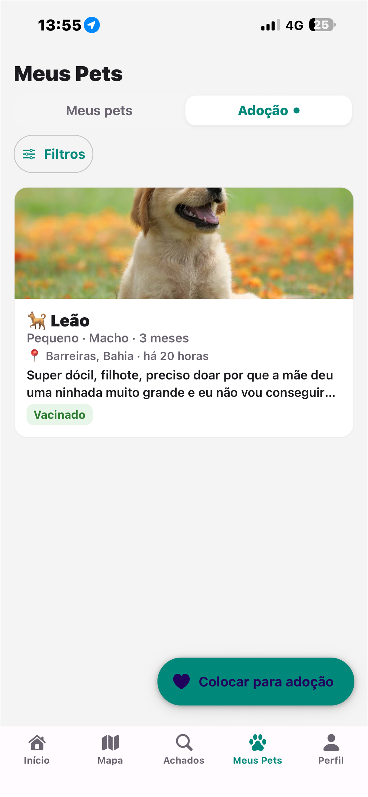 Pai de Pet screenshot 2