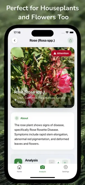 TatarAI: Crop & Plant Health screenshot 4