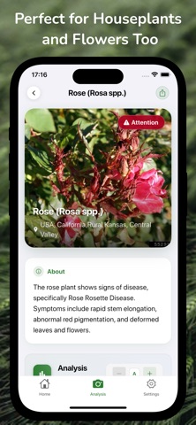 TatarAI: Crop & Plant Health screenshot
