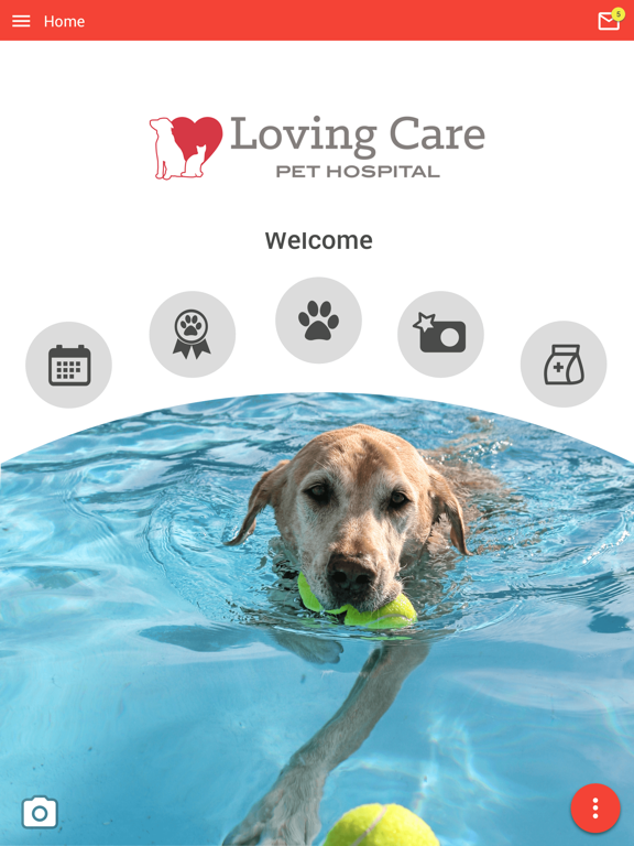 Screenshot #4 pour Loving Care Pets