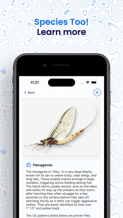 IdentaFly: A.I. Fly Fishing screenshot-3