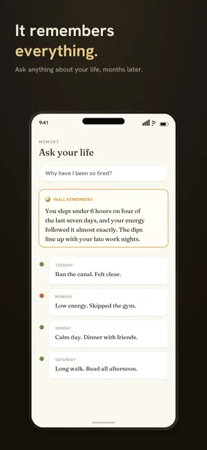 Inall: Voice Journal & Mood screenshot 3