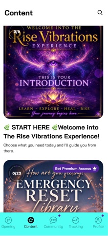Rise Vibrations Screenshot 3 of 10