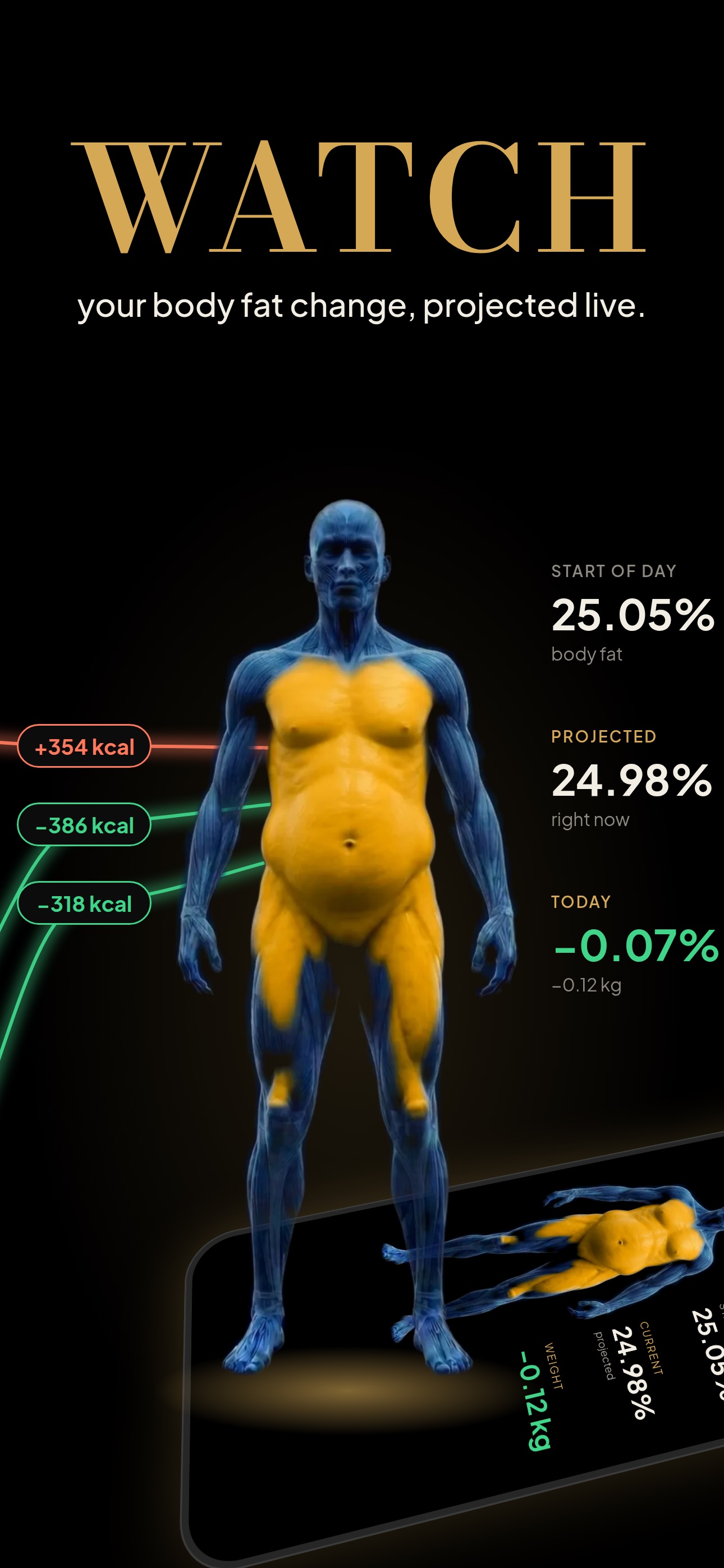 Screenshot 2 of BurnClock: Fat Loss Tracker