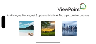 ViewPoint Survey App screenshot