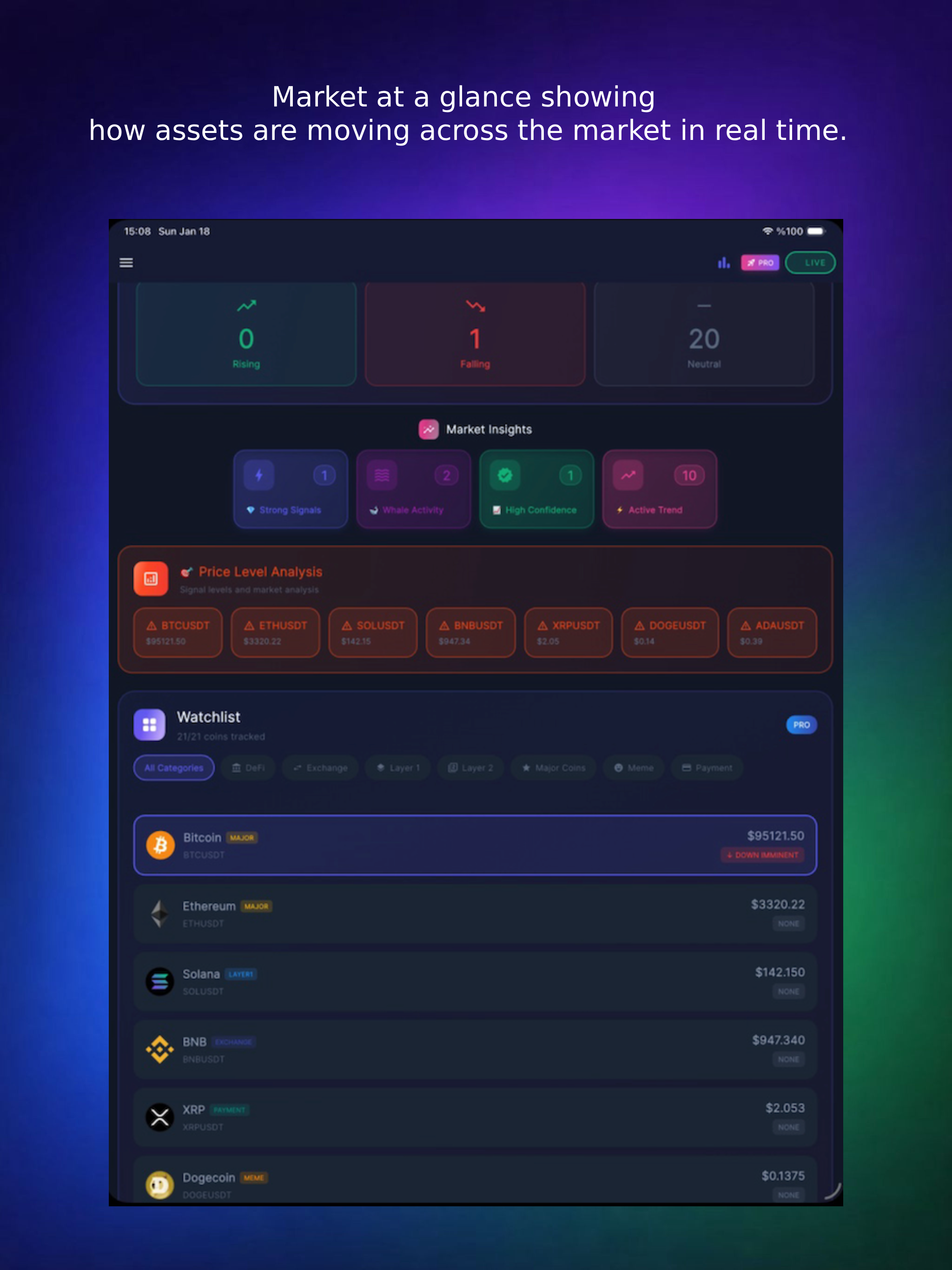 Fluxion: Crypto Whale Tracker