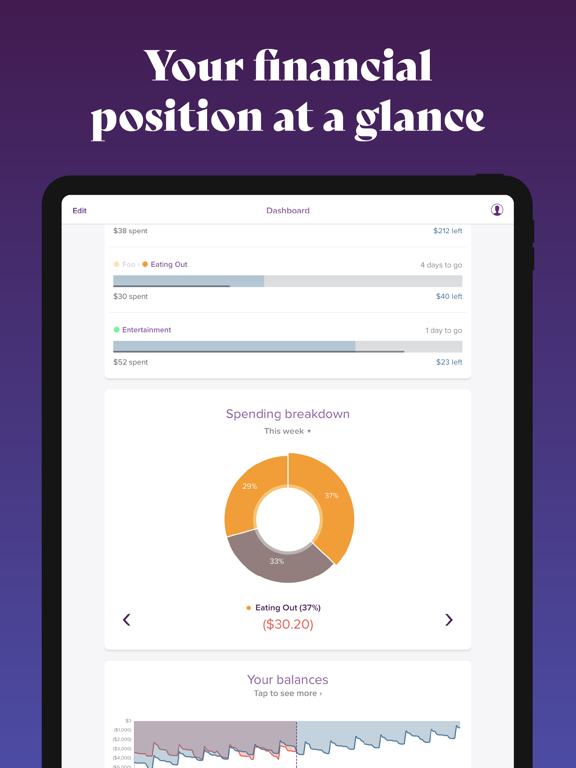 PocketSmith Sidekick