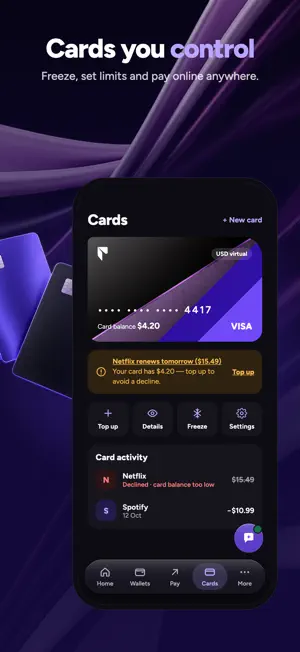 Platnova screenshot 4