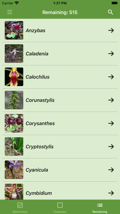 Western Australian Orchid Key Screenshot