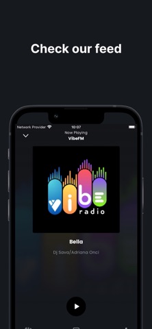VibeFM.MD Screenshot 2 of 3