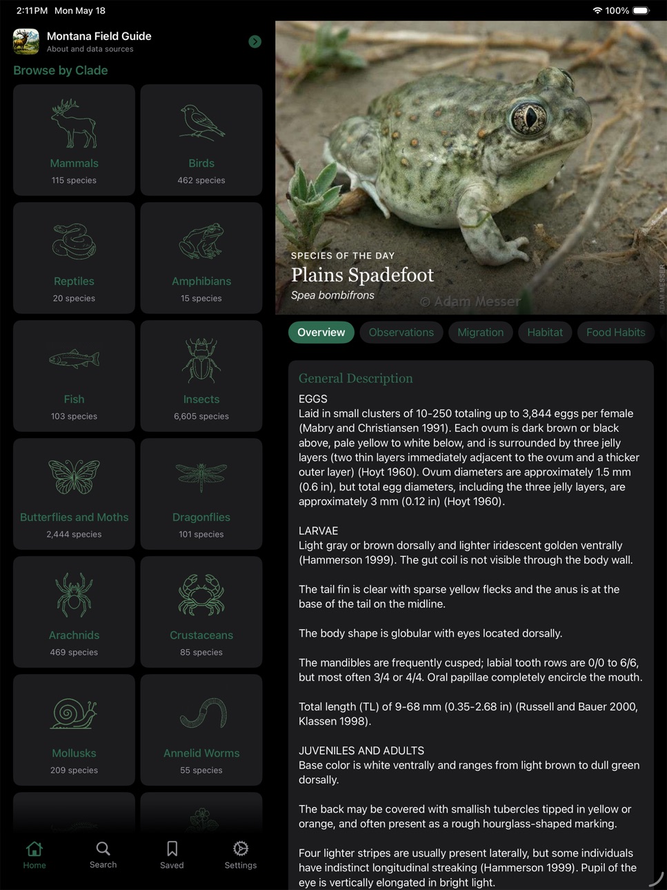 iPad screenshot