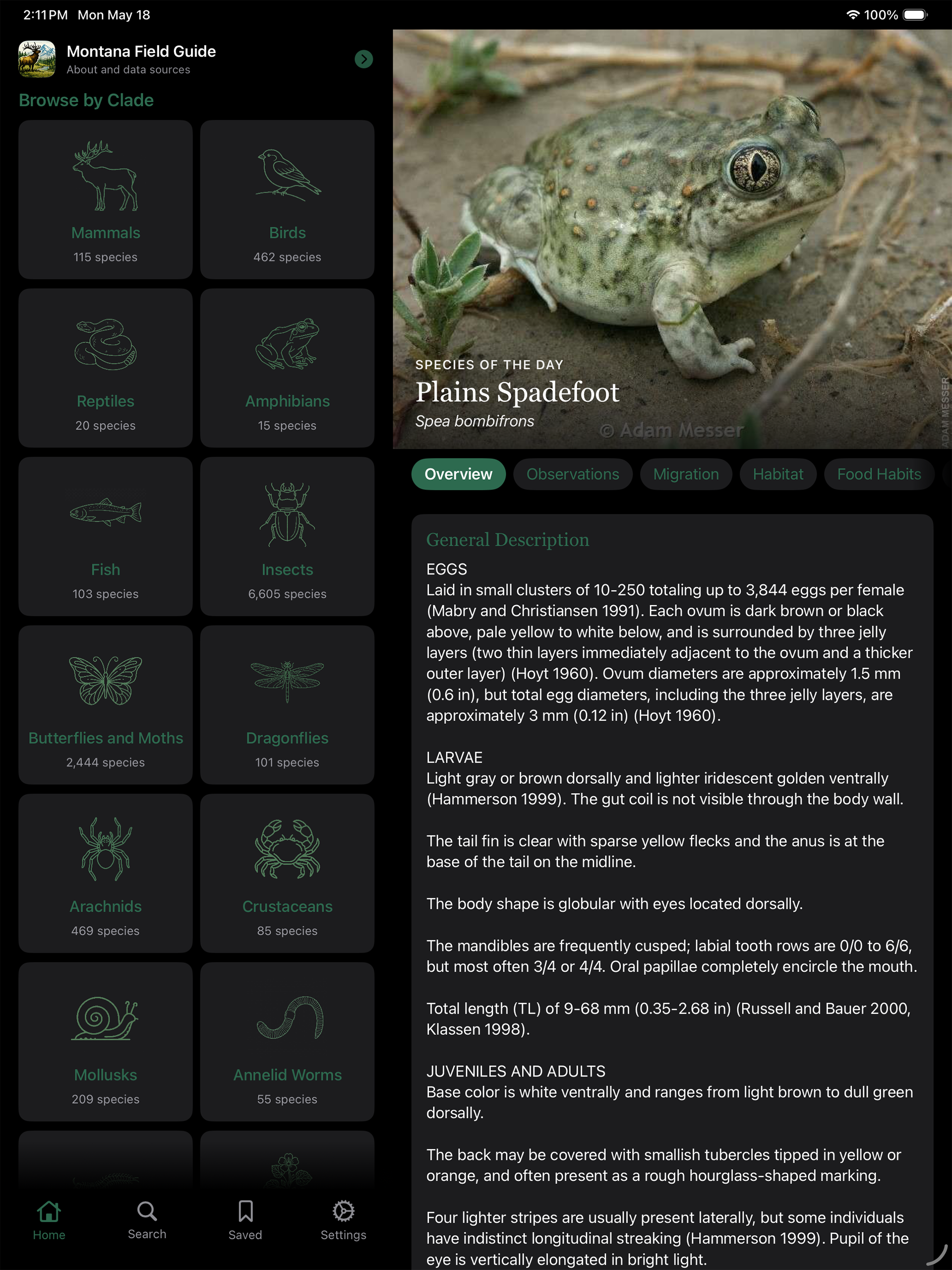Montana Field Guide