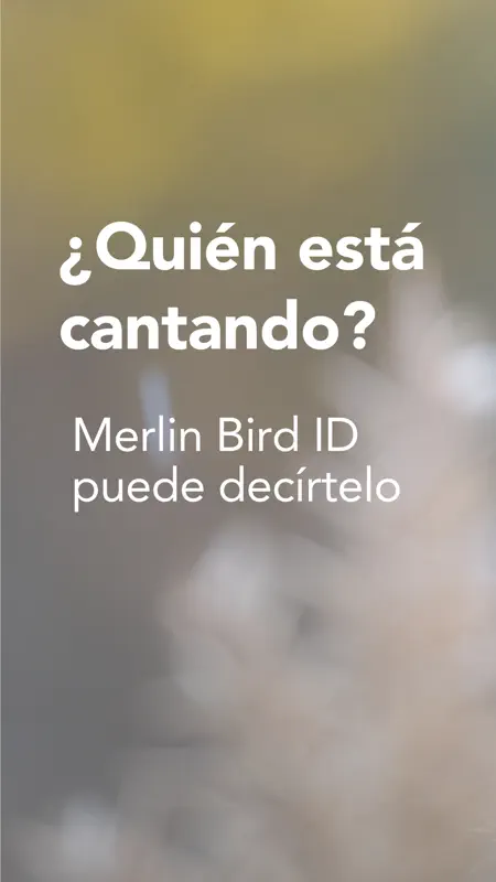 Merlin Bird ID por Cornell Lab screenshot 1 of 8