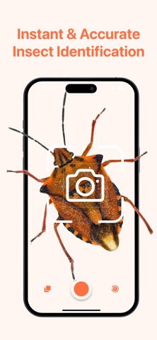 Bug Identifier: AI Scanner iPhone screenshot