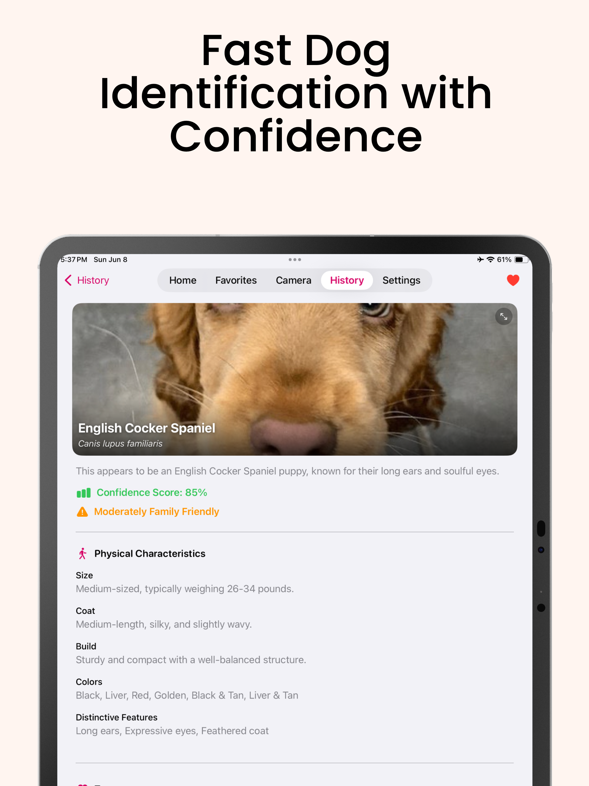 Dog Identifier: Dogtastic screenshot 11