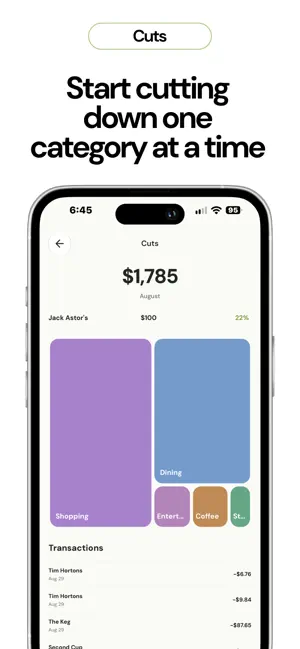 Grove Budget screenshot 3